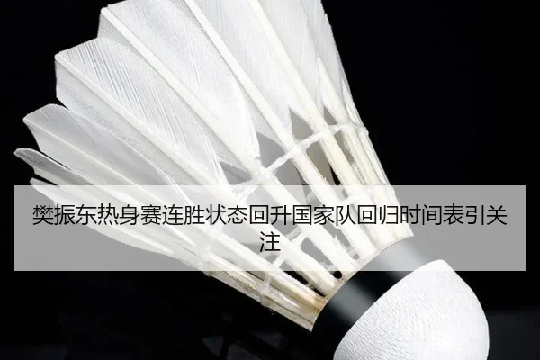 樊振东热身赛连胜状态回升国家队回归时间表引关注
